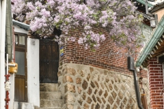 2019_seoul_Bukchon_Hanok_Village_1745