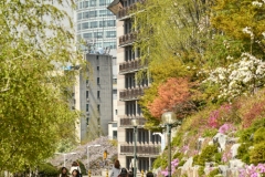 2019_seoul_Ewha_1115