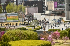 2019_seoul_Ewha_1121