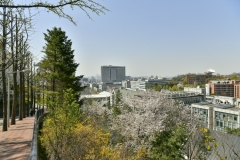 2019_seoul_Ewha_1240