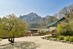 2019_seoul_Seoraksan_National_Park_7218